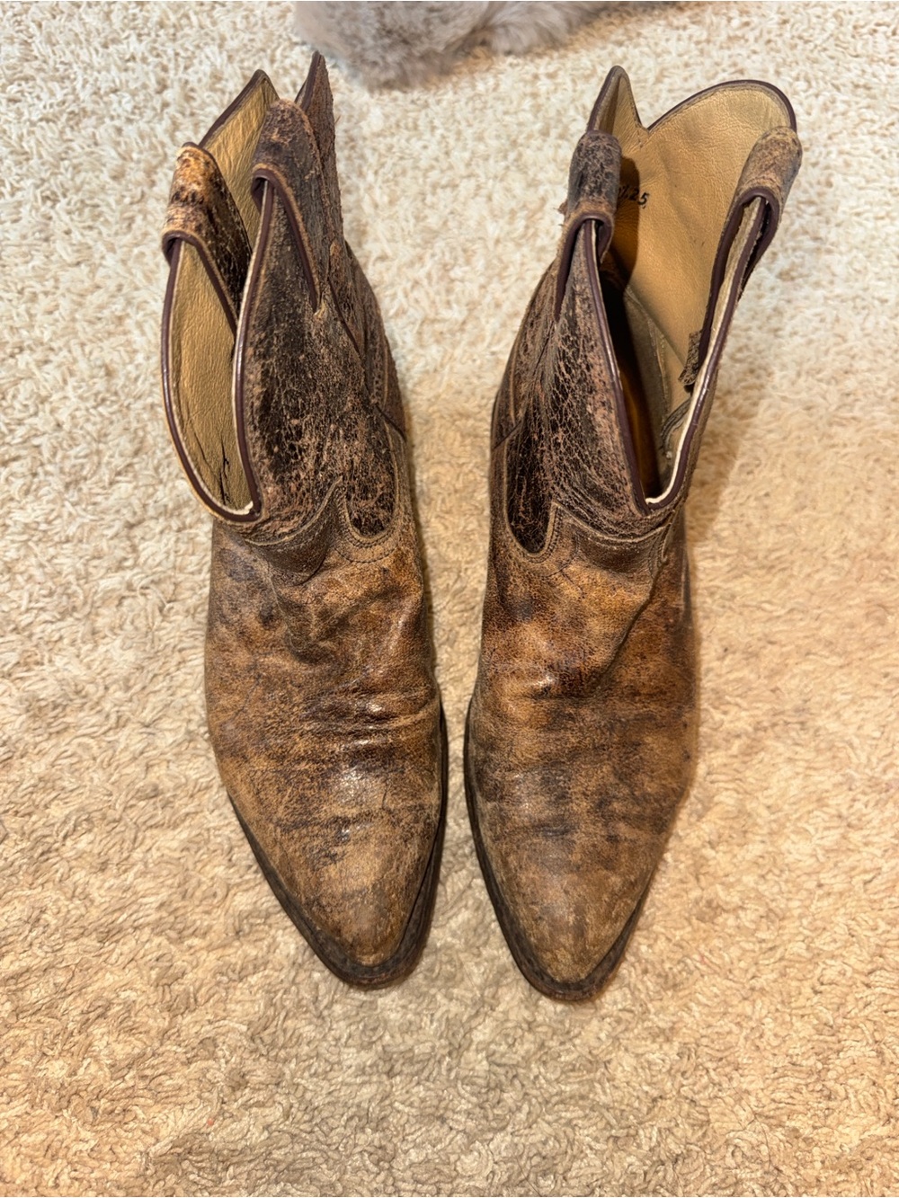 Frye Brown Distressed Leather Western Ankle Booties